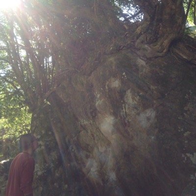 上野　裕　です。
大阪にいましたが、現在は熊本でほうれん草育てたり凍らせたり食べたりしています。