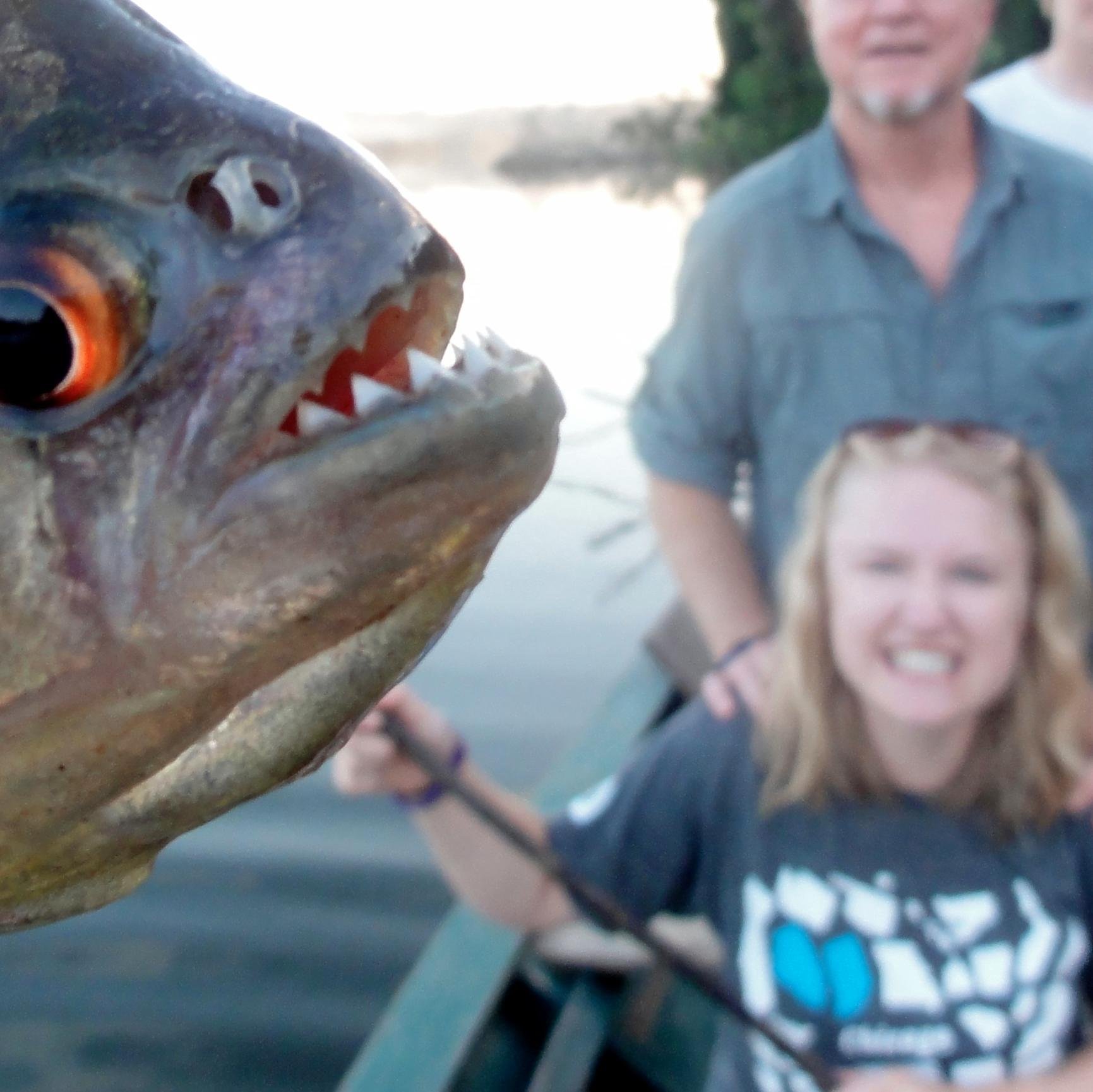 sloppyquesadila's profile picture. Sloths and politics.