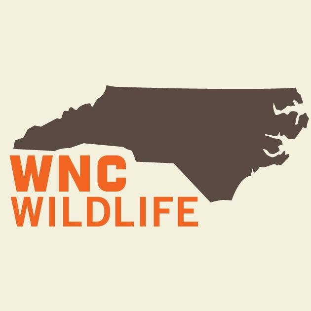 Wildlife. Conservation. Public lands.
