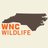 WNC Wildlife