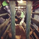 Kyle Blume - @kyle_blume66 - Twitter