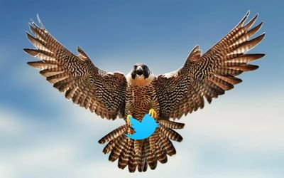 Follow For A Follow Back, Gain free followers by following and retweeting!
