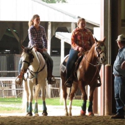 MJ_Horse's profile picture. MJ Performance Horses is a horse training business specializing in speed events, western pleasure, hunter under saddle, and more! Ask for pricing and details!