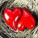 سوزى جلال (@0918201691z) Twitter