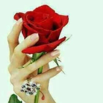 konyoarda's profile picture. خبيرة التجميل ام سميرة كوني دوما متألقة مع مشغل كوني وردة