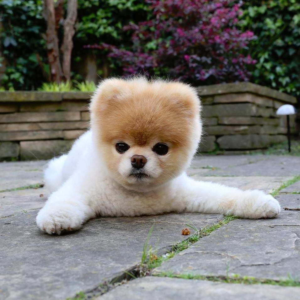 ezarphyu's profile picture. 