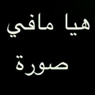 أبوبكر