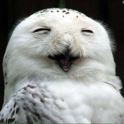 MAGIC_APPLE__'s profile picture. お給仕してました(о´∀`о)✴︎