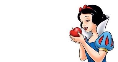 暇さえあればガイドブック開くやつ/95年組/フォローしてください♡