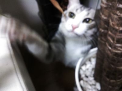 宜しくお願い致します(^^)