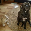 Steven Ables - @rockov2 - Twitter