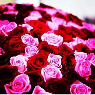 Доставка цветов Алматы Boutique Flowers 365! тел: + 7702 2266355