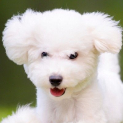 tildeelinornyru's profile picture. BE COOL