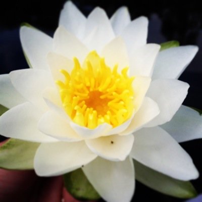 aeimama's profile picture. 