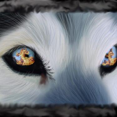 thelonewolfpoet's profile picture. 44yrs, Writer n Envisionment Creationist ..  If its meant to Be, It will Be, If its not meant to Be...C'est La Vie (Such is Life) 10/93.