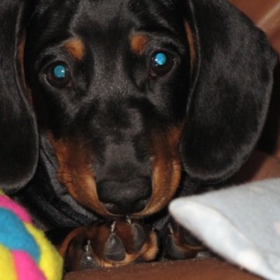 bobbyandlogan1's profile picture. 