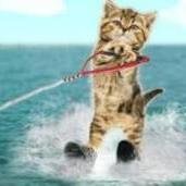 shannaanthony15's profile picture. 