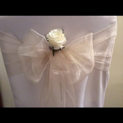 BowsBonnies's profile picture. 