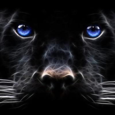 adz_girdler's profile picture. 