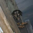 tessa hendrix - @1hippieluver - Twitter