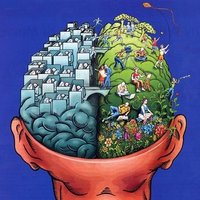 Learning Facts (@factslearning) 's Twitter Profile