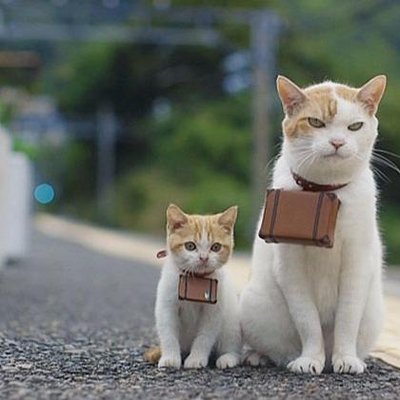 ろろ