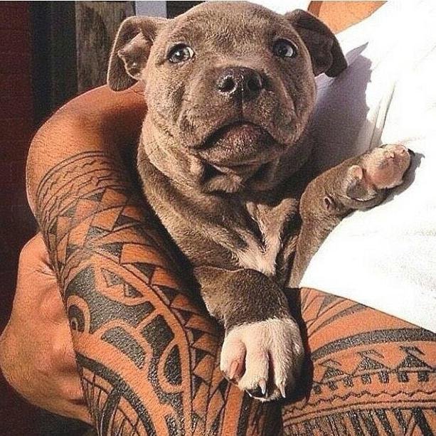 • Sos todo lo que quiero & necesito en mi vida! Solo vos podés hacerme asi de felíz =)) By ЖΔH! •௰•