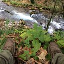 Andrea Pontillo - @AndreaPonts - Twitter