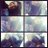 gemaFC96's profile image