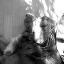 Robin Schenk - @Rob1n_1202 - Twitter