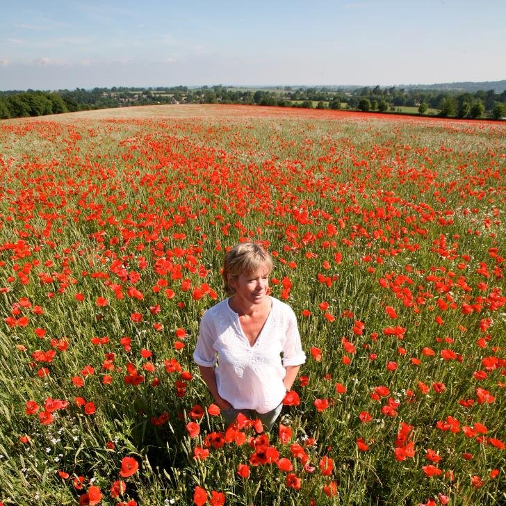 Running Pimhill Farm and Mill in Shropshire. Organic since 1949. Selling lovely cereals and oatcakes. Also Pimhill Barn a historic events venue.