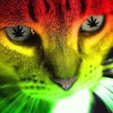 Martha Tello - @MarthaTello10 - Twitter