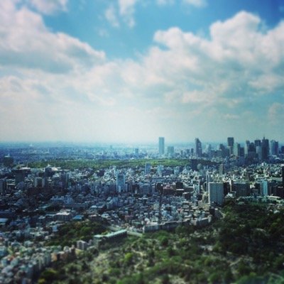 555chi555 Profile Picture