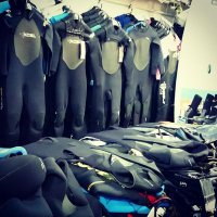 GreatWhiteSport&Surf (@greatwhitesport) 's Twitter Profile