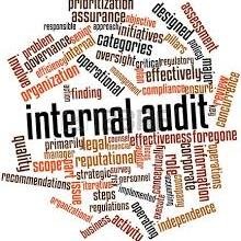 The best content related to internal audit and small audit shops.