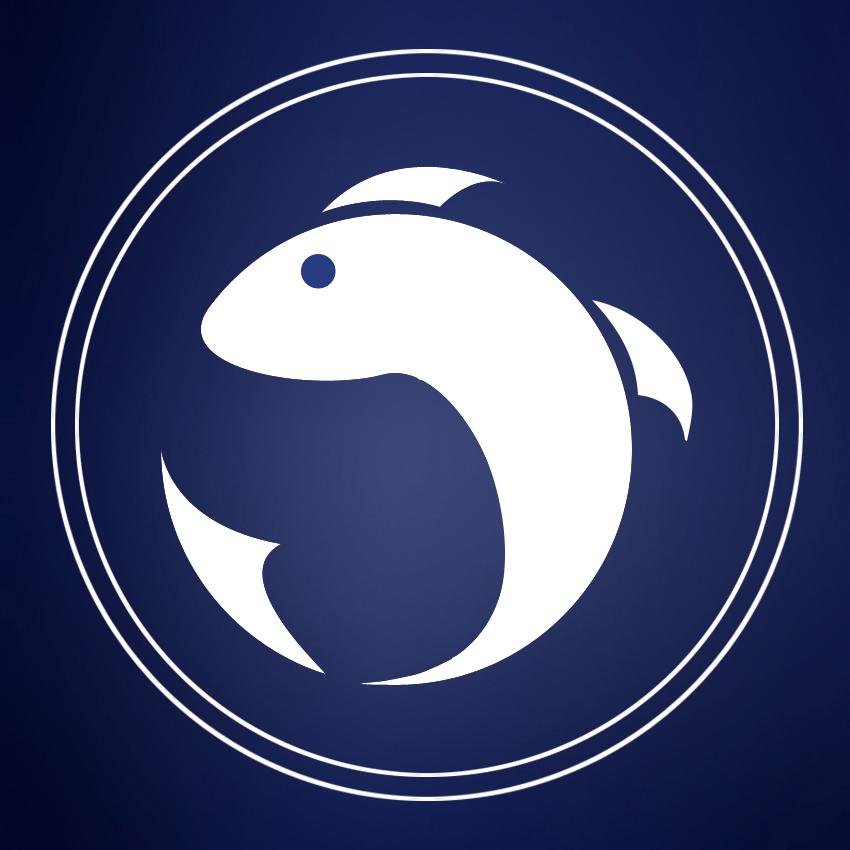 Une application révolutionnaire pour identifier des poissons grâce à son smartphone ! #Identifish #Application #Poissons