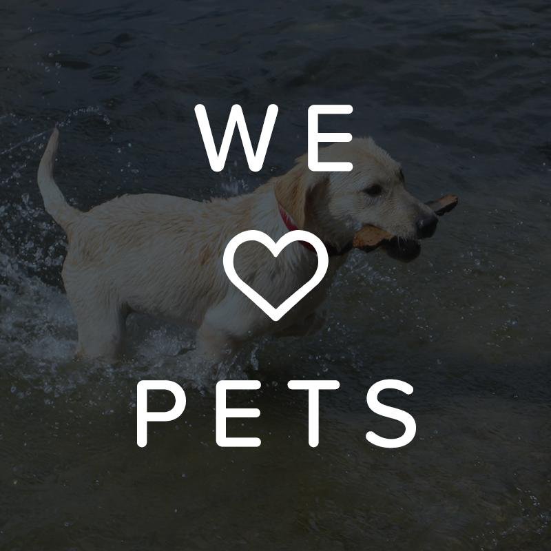 petsetgo's profile picture. A place for pet lovers.
