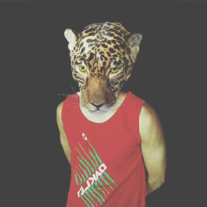 awniago's profile picture. A dream called: @ladygaga followed you