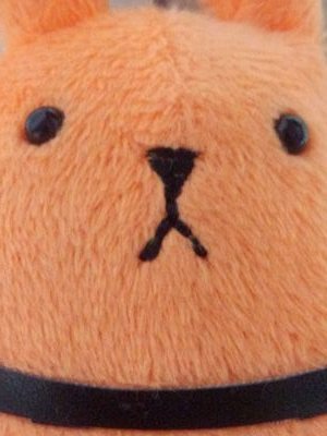 さく*この垢使ってませんさんのプロフィール画像