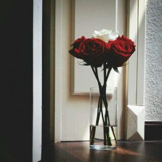 bbm : PIN:2AD7A592 lNSTAGRAM: GM00004  snaq:fawaz1116                        الرس ~