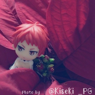 M.こーちゃんさんのプロフィール画像