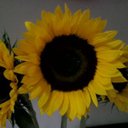 Susan Kelly doherty - @susan966sk - Twitter