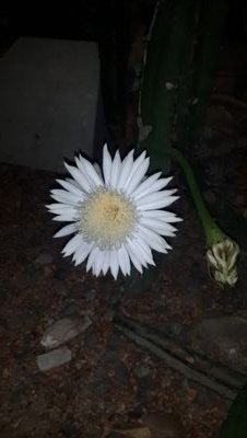 2539e7898073488's profile picture. 