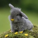 Faith McNulty - @KappaMailer - Twitter