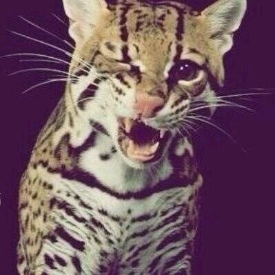 gulya98251's profile picture. 