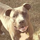 jonathan baylor - @jbaylor11 - Twitter