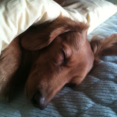 フォローお願いします(o^^o) フォロバします(*^◯^*) 気軽にどんどん絡んでください♫