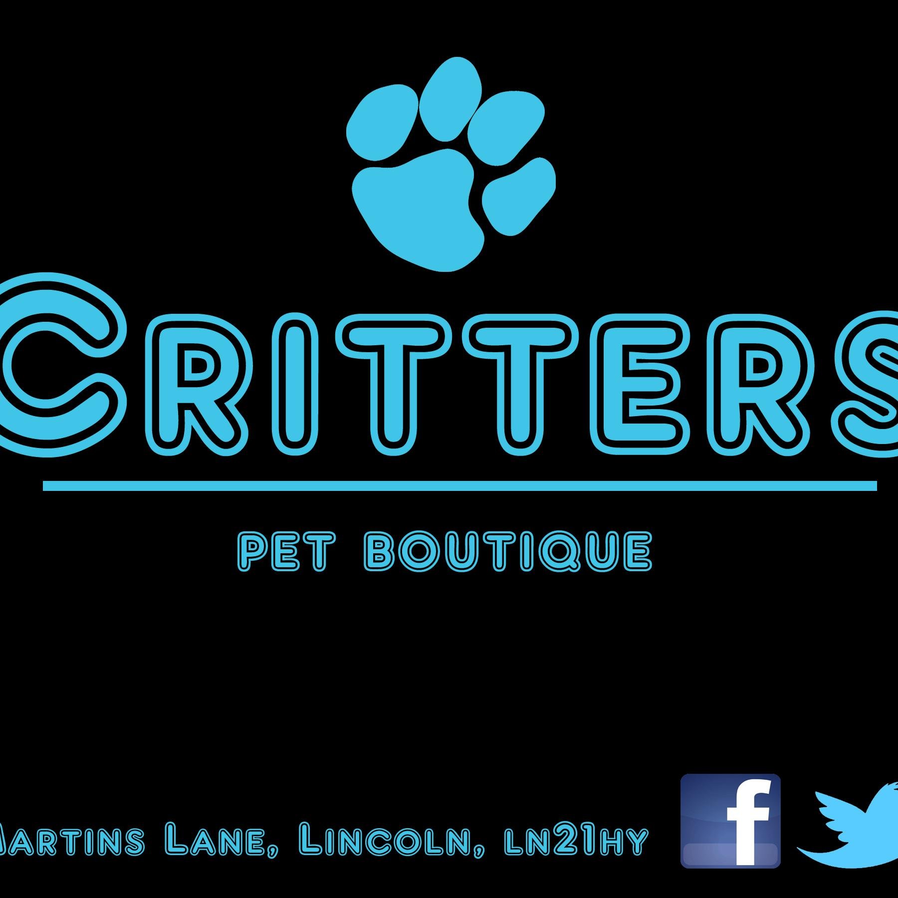 CrittersLincoln's profile picture. 