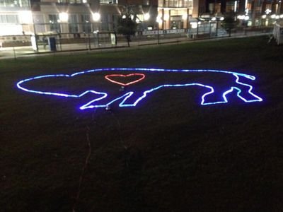 cmashwin's profile picture. 