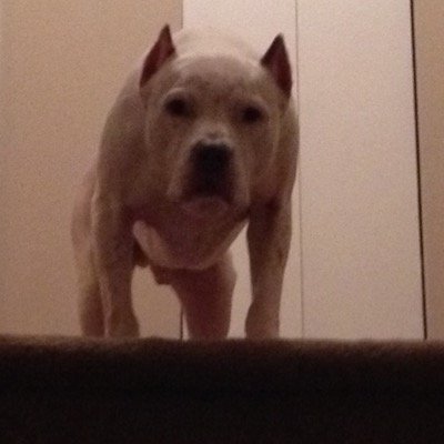 mabrams70's profile picture. 